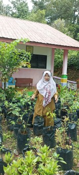 KEGIATAN MENANAM CABE (Selasa, 16 Juli 2024)